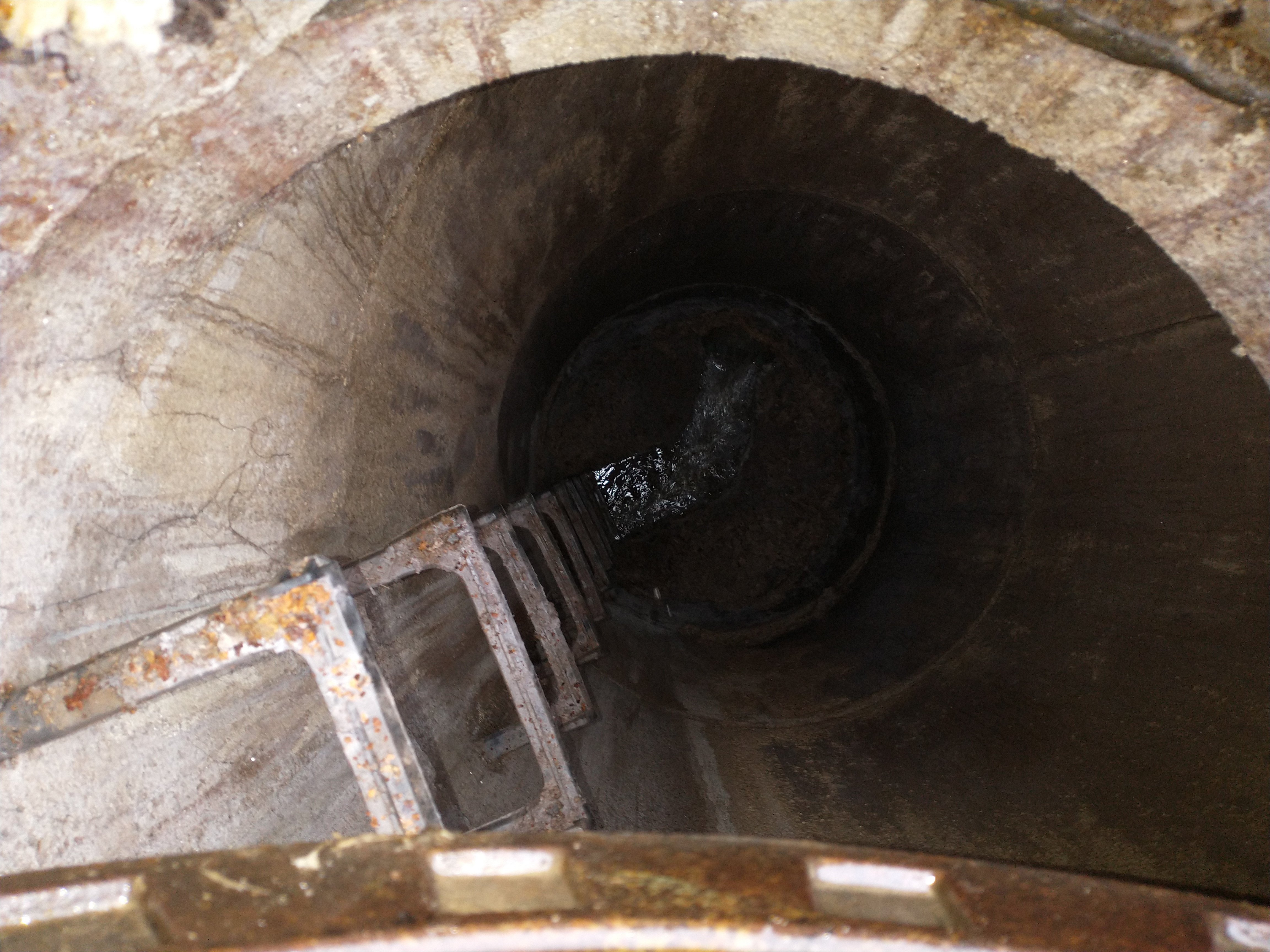 Hamler Before Photo 2