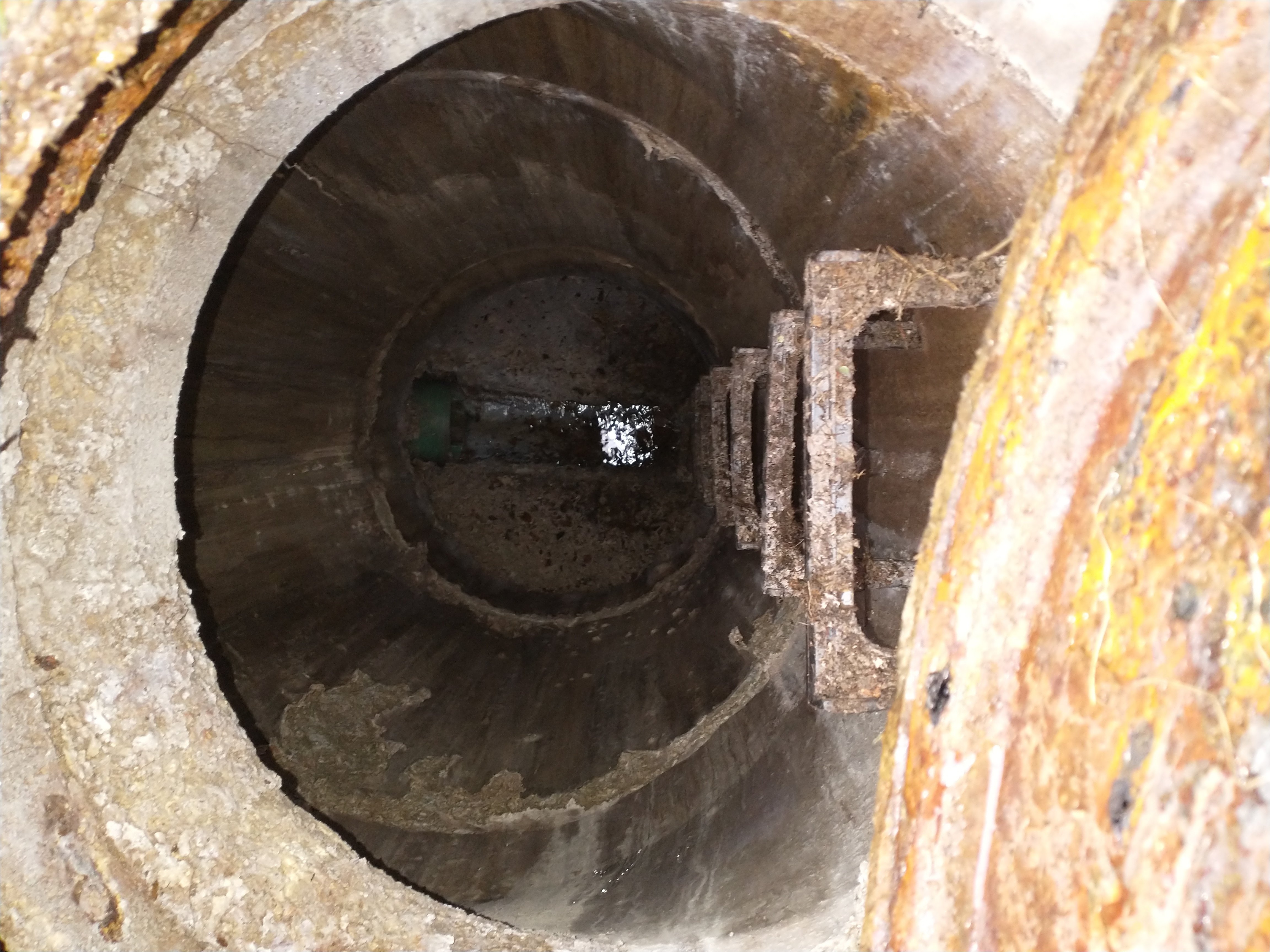 Hamler Before Photo 4